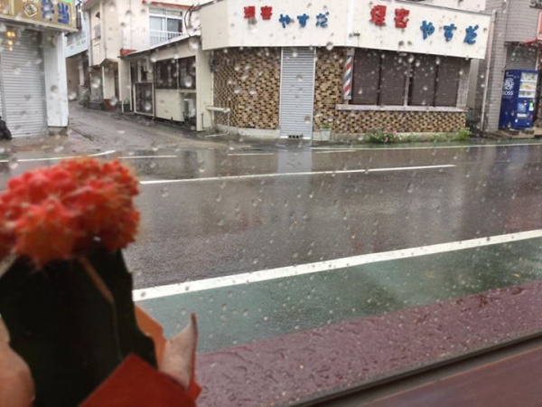 鹿児島 お茶