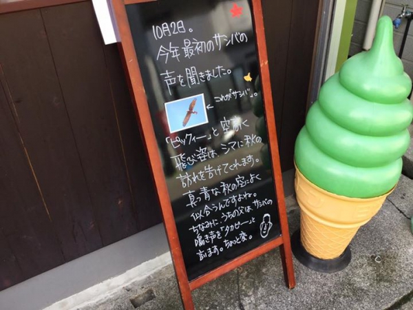 鹿児島 お茶