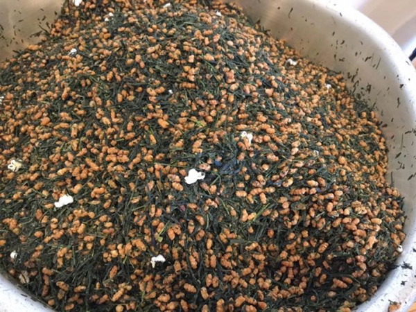 鹿児島 お茶