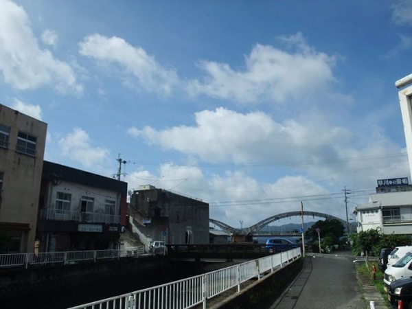 鹿児島 お茶