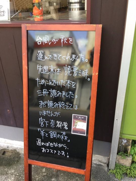 鹿児島 お茶