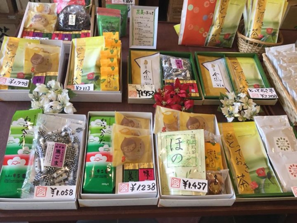 鹿児島 お茶