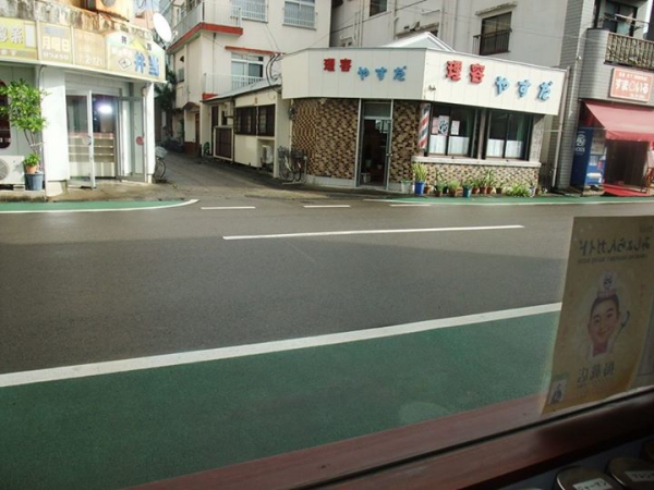 鹿児島 お茶