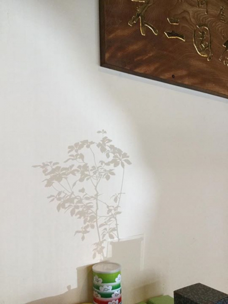 鹿児島 お茶